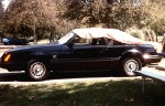 1984_Mustang_GT_Fullerton_park_1986a.jpg